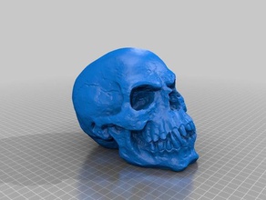 angry halloween skull scans replicas human 3d print model - Mito3D
