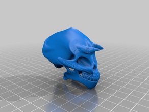 kafatası 3d print model - Mito3D