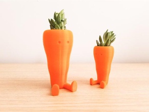 fofos de cenoura em forma suculent plantador decoração 3d print model - Mito3D
