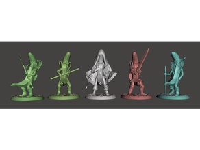 frostgrave banane warband jeu 3 games 28mm 30mm 32mm adventure apothecary base bow custom customized dnd fantasy figure glaive halbeird mini miniature miniatures ranger spear sword wargame wargaming warhammer 3d print model - Mito3D