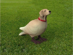 dogbird 3 d la stampa colomba labrador 3d print model - Mito3D