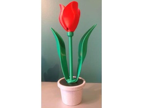 singolo tulipano vaso altri fiore di fiori la pianta vano segreto contenitore tulip flower 3d print model - Mito3D