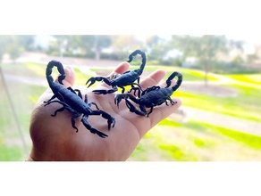 escorpión animal arácnidos error bugs fresco dibuja las especificaciones fácil de la plana halloween miedo escorpio simple 3d print model - Mito3D