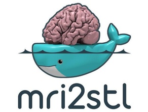 mri2stl docker container brain recreation scans replicas 3d print model - Mito3D
