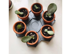 honeycomb tray mini planters outdoor garden succulent water 3d print model - Mito3D