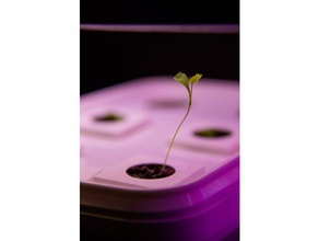 cultivo hidropónico de plantas maceta al aire libre jardín 3d print model - Mito3D