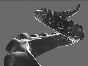 kraken tentáculo las esculturas 3d print model - Mito3D