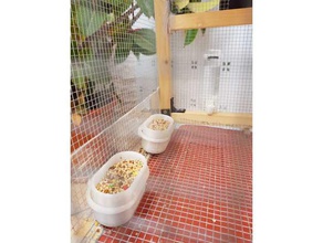 bird feeder - comedero para p jaros pets birdfeeder birds 3d print model - Mito3D