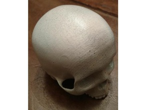 skull dice tumbler 3d print model - Mito3D