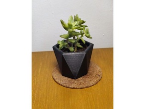 succulent planter hexagon outdoor & garden cactus flowerpot flower pot planters plant succulents vase 3d print model - Mito3D