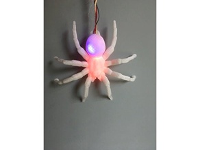 appeso spider giochi e giocattoli animale aracnide di halloween holloween insetto la lampada luce notturna spaventoso web 3d print model - Mito3D