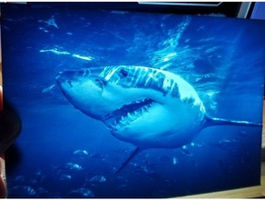 shark lithophane 2d art danger led natgeo night light ocean salt sea teeth underwater 3d print model - Mito3D