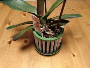 aerato vaso di orchidee all'aperto e giardino orchid orchidea fioriera 3d print model - Mito3D