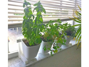legs ikea sunnersta rails bins plant rack holder household feet planter raspberry pi windowsill 3d print model - Mito3D