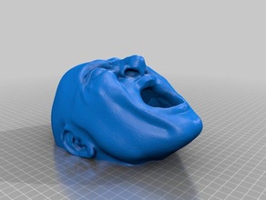 hueco gritando a la cara de los hogares maceta scream 3d print model - Mito3D