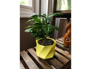 modern flower pot household plant 3d print model - Mito3D