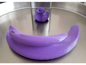 anamórfico pato de goma a los animales anamórfica matemáticas espejo 3d print model - Mito3D