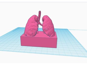 lung award 3d printing lungs pulmonary trophy 3d print model - Mito3D