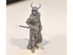 gloomhaven patron valrath kadın zırhlı oyuncak & oyun aksesuarları dnd minyatür 3d print model - Mito3D
