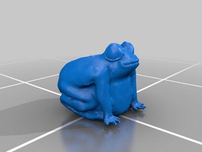 big frog cuadro a los animales grande en la licuadora boitier rana 3d print model - Mito3D