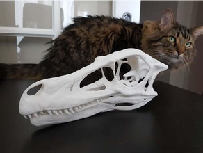 tam boyut velociraptor kafatası - kolay baskı biyoloji dinozor fosil 3d print model - Mito3D