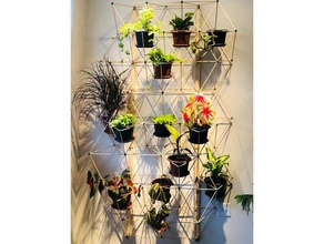 green wall lattice outdoor & garden inside model plants structure 3d print model - Mito3D