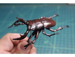 sawtoothed stag beetle animals insect lucanidae 3d print model - Mito3D
