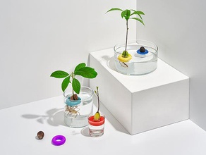 avo - floating avocado growing tool 3d printing garden gardening plant seed urban 3d print model - Mito3D