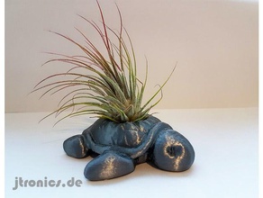 succulent planter turtle household cactus flower garden jtronics planters succulents vase 3d print model - Mito3D