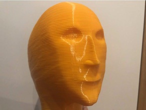 mr succ mème de l'homme sculptures tête 3d print model - Mito3D