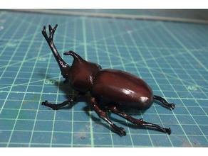 giapponese scarabeo rinoceronte animali beetle insetto 3d print model - Mito3D