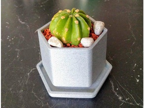 small flower pot drip tray decor drip tray flower pot flower pot saucer