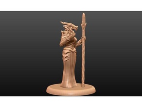 dragonborn enchantress - tabletop miniature toys & games critical role dnd dungeons dragons fantasy game gaming gloomhaven pathfinder rpg warhammer 3d print model - Mito3D