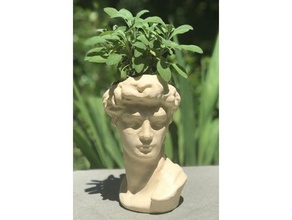 david tête de la jardinière L'impression 3d pot fleurs 3d print model - Mito3D