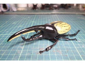 hercules besouro animais dynastes inseto 3d print model - Mito3D