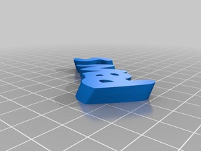 Pfoten Schlüsselanhänger kundengebundene 3d print model - Mito3D