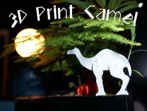 3d-print-camel-Karte 3d-drucken 3d print model - Mito3D