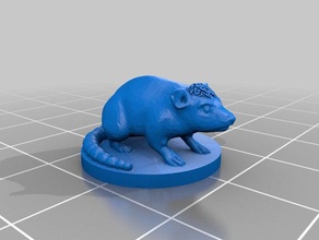 cranium rat animals animal dnd miniature dungeons dragons tabletop 3d print model - Mito3D