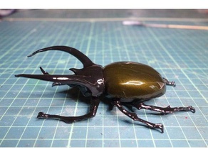 atlas beetle animali atras insetto 3d print model - Mito3D