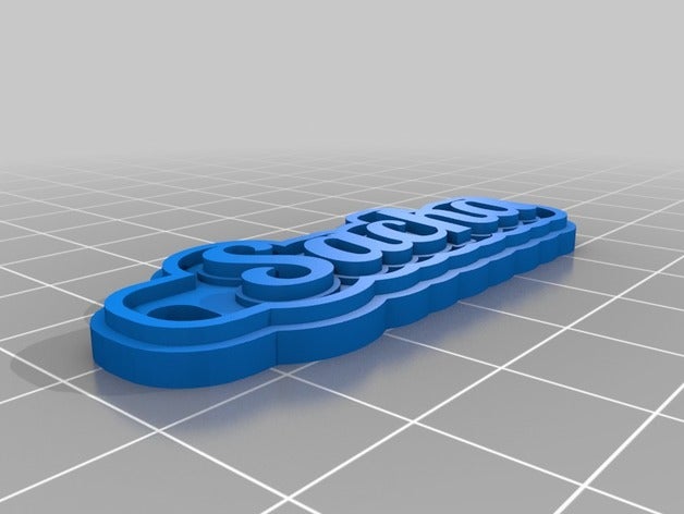 chaveiro nome sacha sinais e logotipos personalizado 3D print model - Mito3D