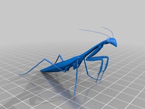 praying mantis animal 3d printing 3d print model - Mito3D