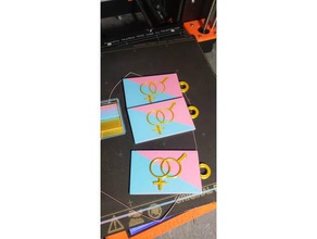 straight pride multymaterial printers 3d printing boston key tag milo palette prusa i3 mk3 mmu2 3d print model - Mito3D