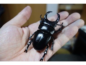 giant stag beetle dorcus hopei binodulosus animals insect lucanidae stagbeetle 3d print model - Mito3D