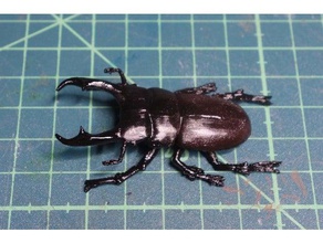 tiny stag beetle dorcus rectus animals insect lucanidae stagbeetle 3d print model - Mito3D