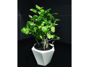 vaso de flores decoração 3d print model - Mito3D