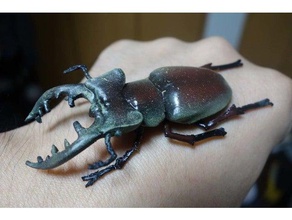 miyama stag beetle lucanus maculifemoratus hayvanlar böcek lucanidae geyik böceği 3d print model - Mito3D