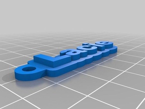 lacie de porte-clés personnalisé 3d print model - Mito3D