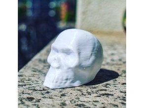 3d imprimíveis crânio criaturas 3d print model - Mito3D