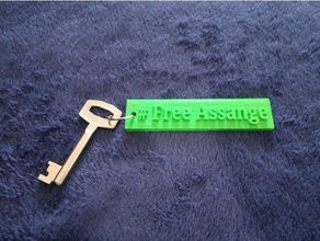 free assange keyring keychains 3d print model - Mito3D