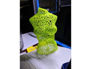 woman body voronoi sculptures 3d print model - Mito3D